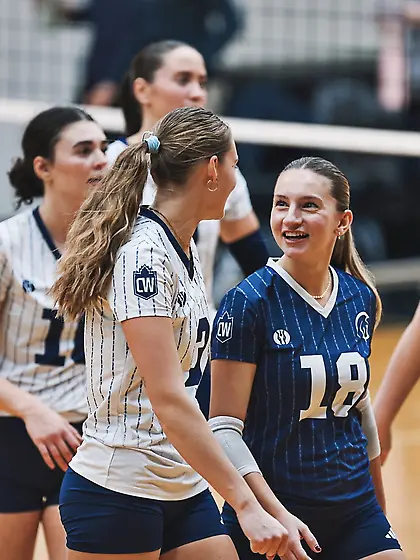 Dumb of online porn #2