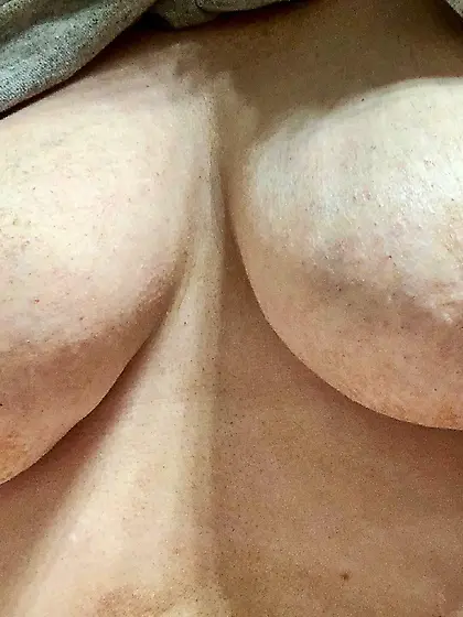 Pig tits