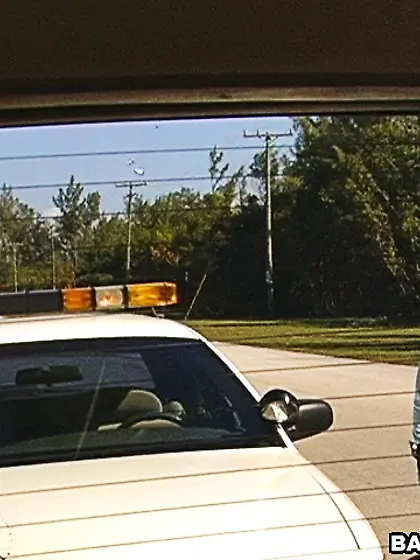 16 pics of major ass cadets!