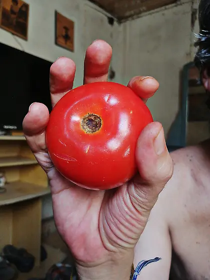 Playing with my ass and eating shit