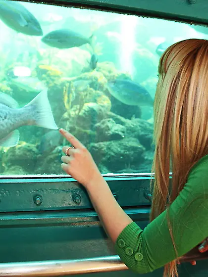 Ultimately,  he pushes his cock into her opening and it feels hot