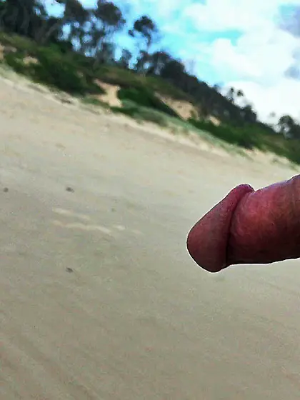 Public erection flasher exhibitionist beach cfnm