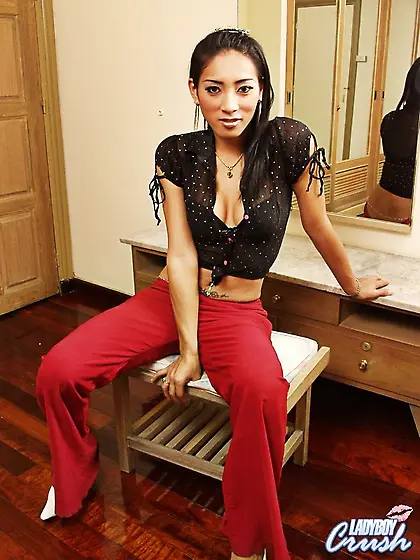 Cute ladyboy teasing near the mirror