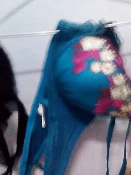 My luxurious neighbour Chick