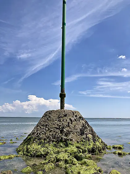 Crab gods demand a sacrifice 4