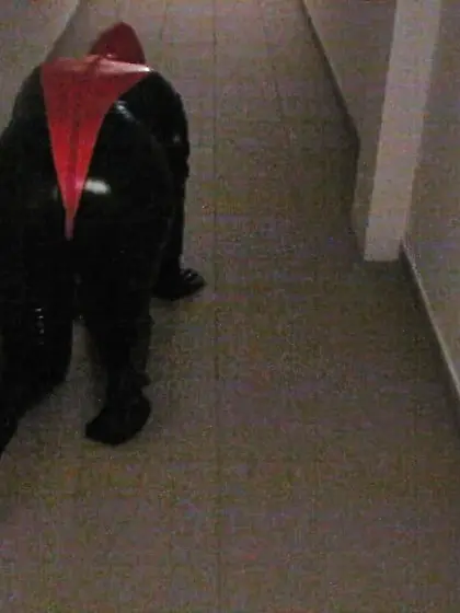 Petplay in latex suit...