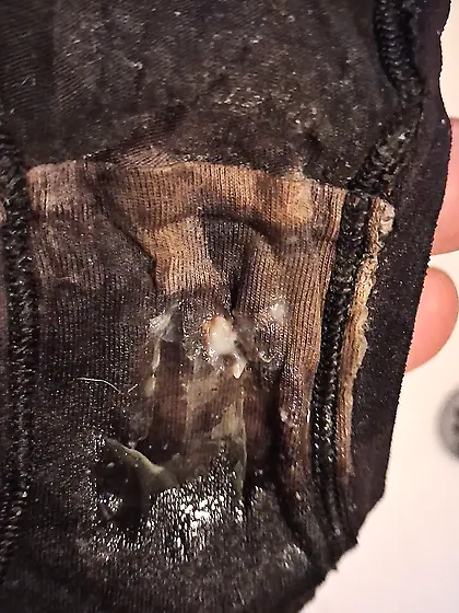 Young teen daughters dirty panties