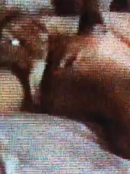 Wife keeps on cumming