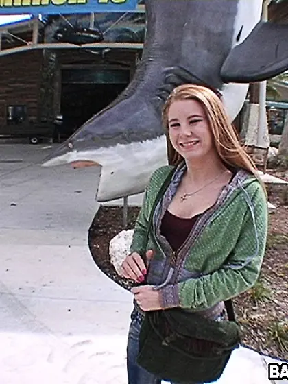 Inside the car story 2