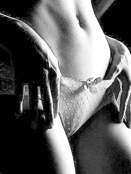 Janas Joie de vivre 331