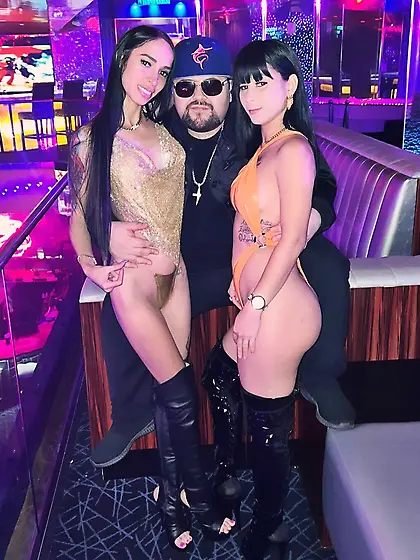 Easy,  Trashy,  Party Sluts