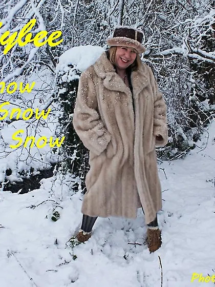 Cougar speedy bee united