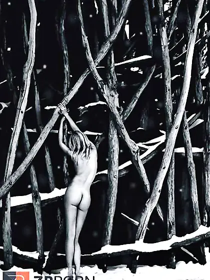 Ebony and White 260!