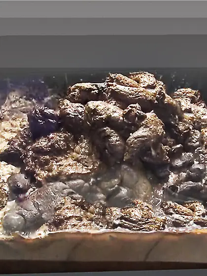 Emma Watson - Toilet Slave!