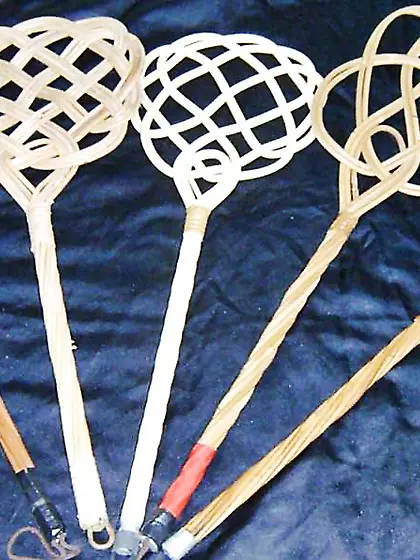 Een paar van mijn zwepen