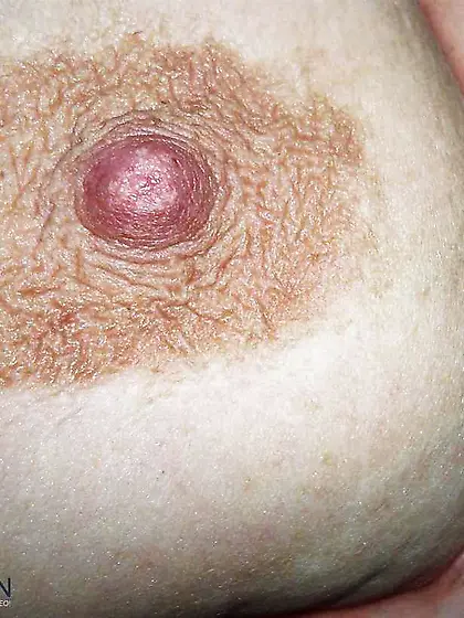 Ihre Busen,  Titten,  Mounds