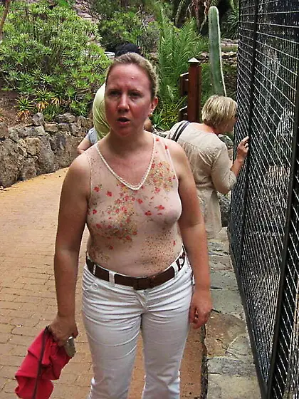 Disagreement in the Wildlife Park