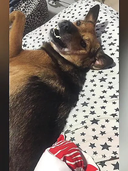 Tiny tits teen squirt