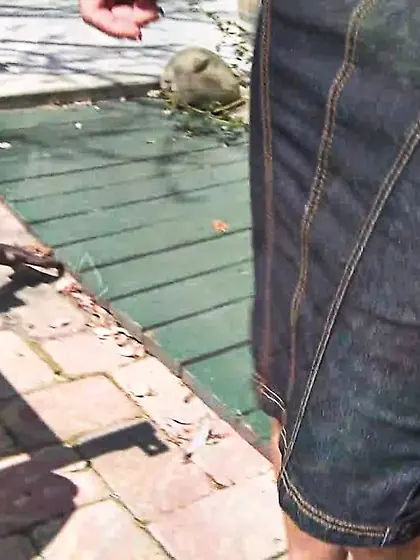 Dirty blonde bitch pussy