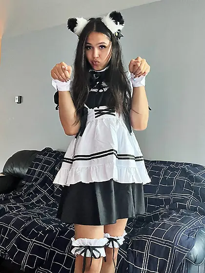 TS Snowii Coast Social network