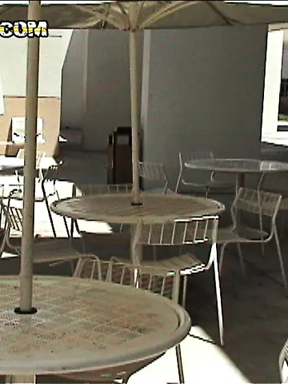 Horny brunette gal Hailey James strips her clothes and sucks her