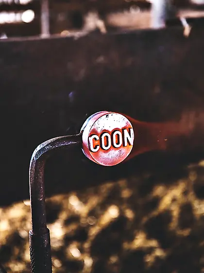 Let's goo boy's some coon brandig get lazo rea