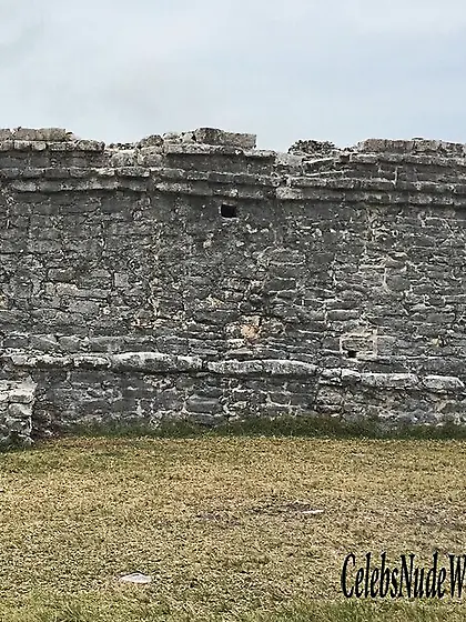 Willa Holland Ass Photo