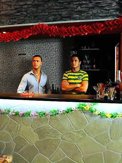 Crazy party sauna turned