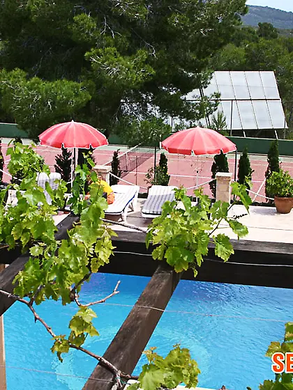 Real hot voyeur pics