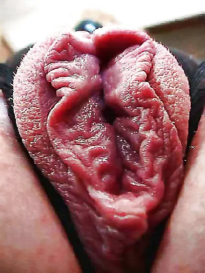 big pussy lips