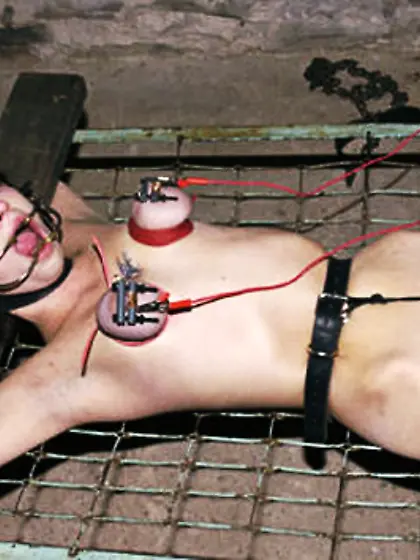 Fate of the Feckless Foids