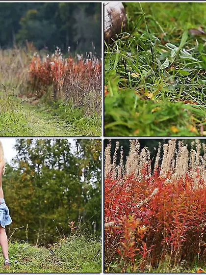 Lovely teen gals present