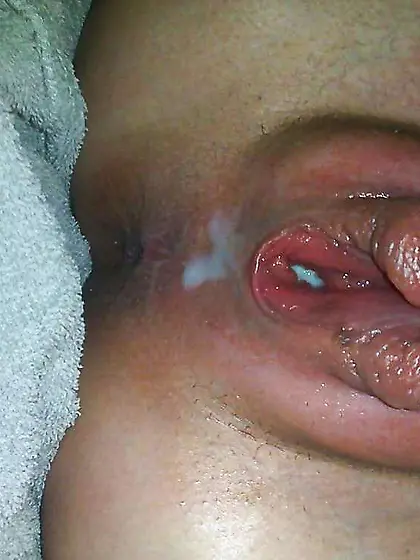 Ma chienne fait joujou