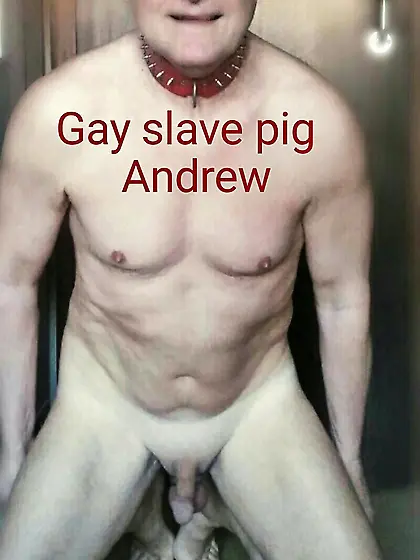gay scat porn blowjob nude toilet sex slave Andrew