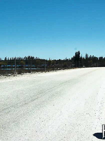 Young hard domination