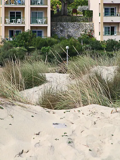 Check amateur pics sexy