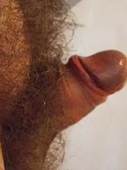 short erect cocks are the best