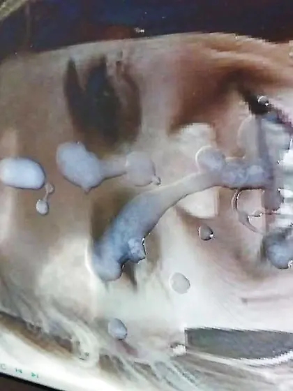 Erikapl takes TosserTims jizz