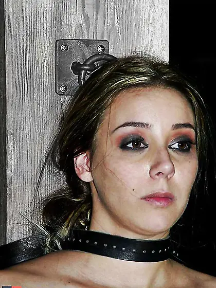 Domination & Submission (ammyammy)