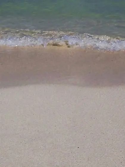 Teenage petite latina