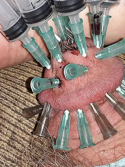 pincushion cock