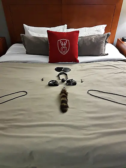 Anal Teen Slave Quebec