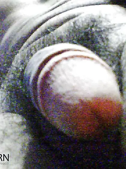 Dedicada patty celular