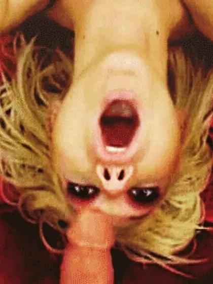 Miscellaneous GIFs 9