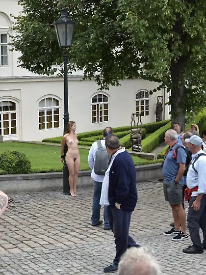 Sexy Naked Girls in Public by Charles Hollander