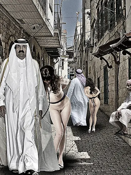 Muslim World Order 231