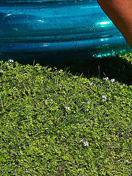 PVC Melody from United Kingdom