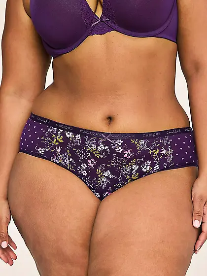 Lane Bryant--more sexy panties