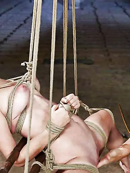 Enjoy - Sheer Pleasure - Liebe DOMINATION & SUBMISSION (112)