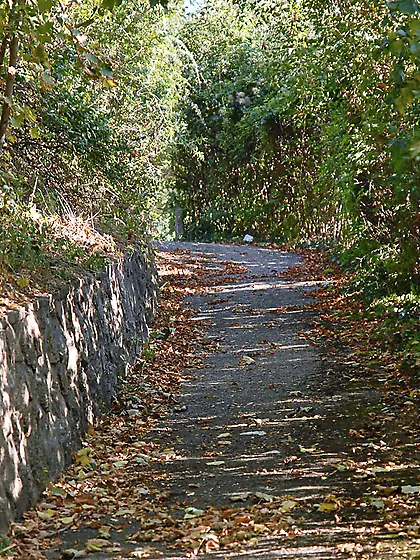 Alluring brunette gal Monika Benz strips outdoors and shows her